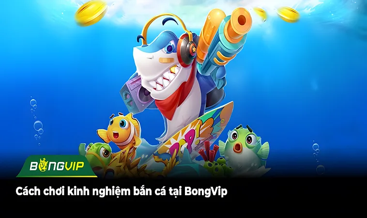 BongVip: Cách chơi bắn cá hiệu quả cho người mới bắt đầu! 1 Cách chơi kinh nghiệm bắn cá tại BongVip